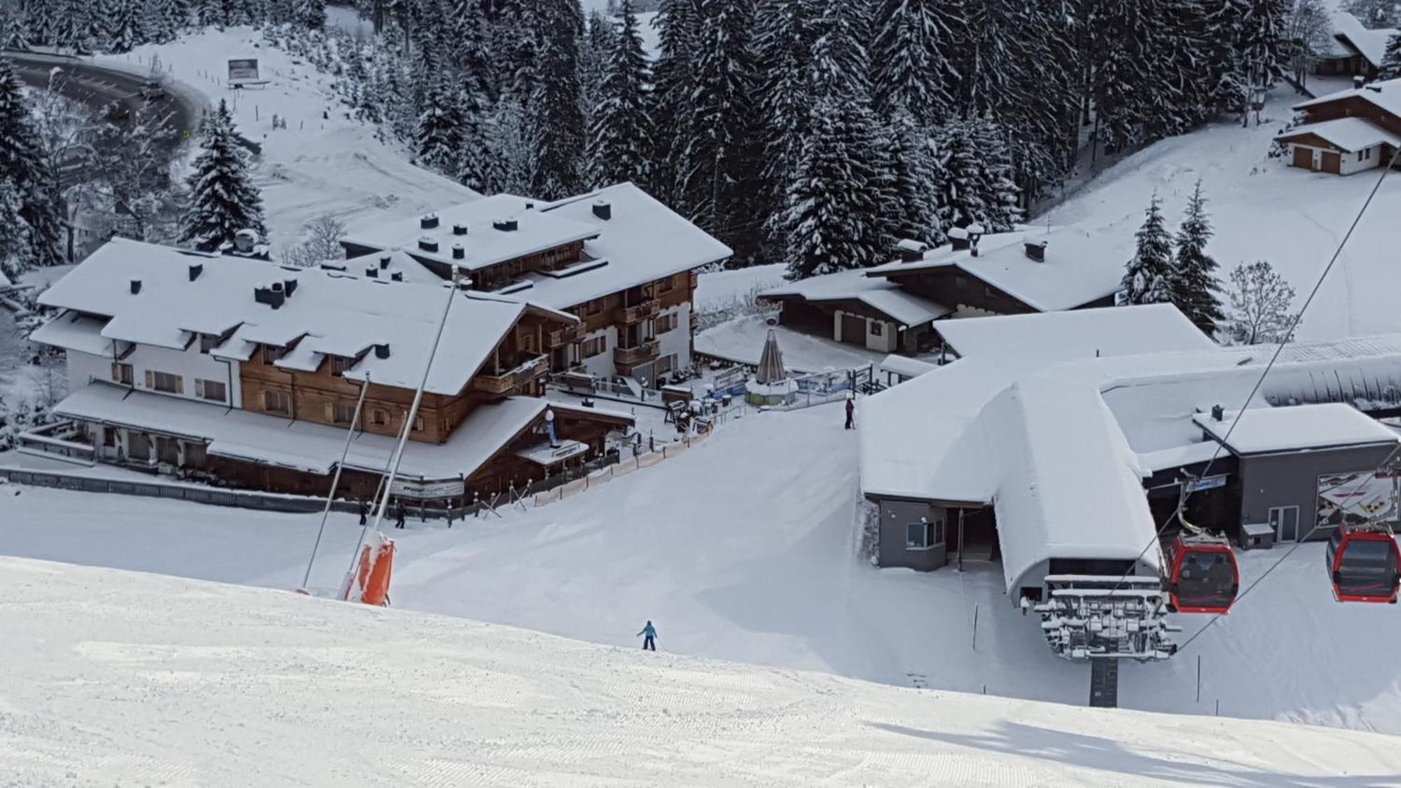 Panorama Chalets Am Pass Thurn Міттерзілль Екстер'єр фото